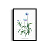 Garden of Creativity Botanical Modern Wall Art