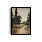 Journey Through Nature's Canopy Wall Art