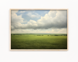Meadow's Embrace Wall Art