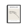 Banana Leaf Modern Line Wall Art