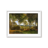 Part of Delhoved Forest by Skarre Sø.Afternoon lighting by P. C. Skovgaard Landscape Art