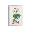 Chard Botanical Wall Art