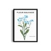 Blossom Beauty Botanical Modern Wall Art