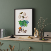Chard Botanical Wall Art
