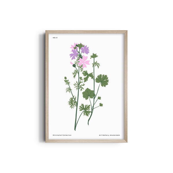 Amsterdam art gallery Botanical Modern Wall Art