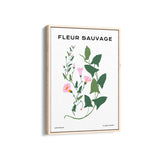 Wildflower Chronicles Botanical Modern Wall Art