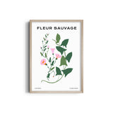 Wildflower Chronicles Botanical Modern Wall Art