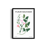 Wildflower Chronicles Botanical Modern Wall Art