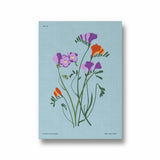 Floral Frescoes Botanical Modern Wall Art