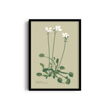 Fern Fables Botanical Modern Wall Art