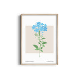Verdant Vista Botanical Modern Wall Art