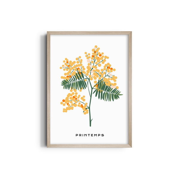 Blossom Reverie Botanical Modern Wall Art
