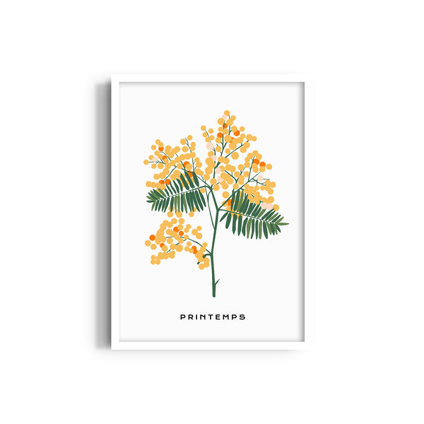 Blossom Reverie Botanical Modern Wall Art