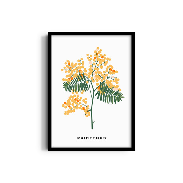 Blossom Reverie Botanical Modern Wall Art