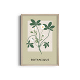 Petals and Palettes Botanical Modern Wall Art
