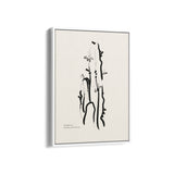 Cactus Boho Modern Wall Art