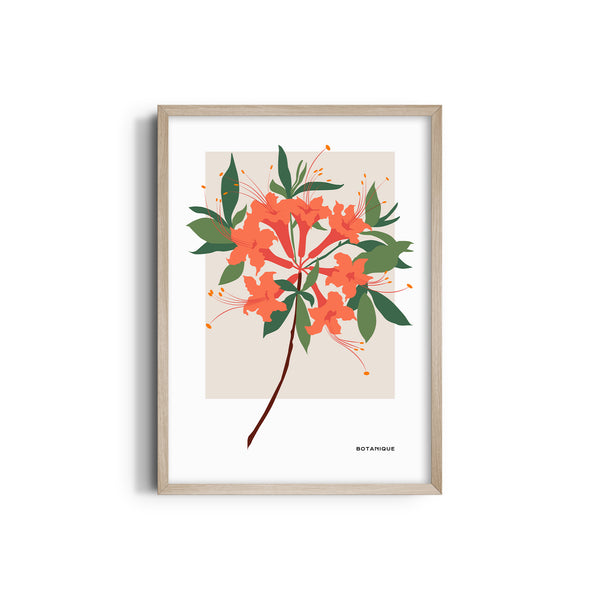 Bloom Chronicles Botanical Modern Wall Art