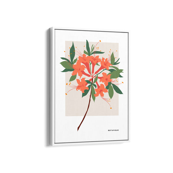 Bloom Chronicles Botanical Modern Wall Art
