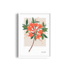 Bloom Chronicles Botanical Modern Wall Art