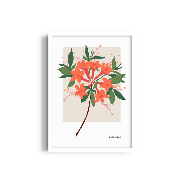 Bloom Chronicles Botanical Modern Wall Art