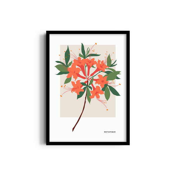 Bloom Chronicles Botanical Modern Wall Art