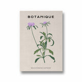 Floral Sanctuary Botanical Modern Wall Art
