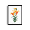 Petals in Pastel Botanical Modern Wall Art