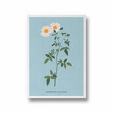 Flora Fusion Botanical Modern Wall Art