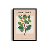 Oak Tree Botanical Modern Wall Art