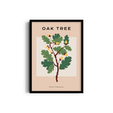 Oak Tree Botanical Modern Wall Art