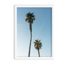 Two Beach Trees Wall Art