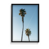 Two Beach Trees Wall Art