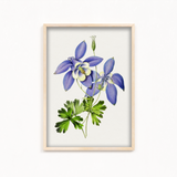 Owosie Botanical Wall Art