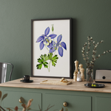 Owosie Botanical Wall Art