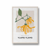 Ylang Ylang Botanical Modern Wall Art