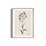 Floral Flourish Botanical Modern Wall Art