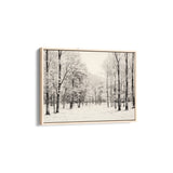 Shadowed Wilderness Wall Art