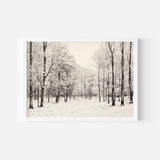 Shadowed Wilderness Wall Art