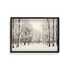 Shadowed Wilderness Wall Art