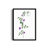 Naturistic Dreams Botanical Modern Wall Art