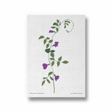 Naturistic Dreams Botanical Modern Wall Art