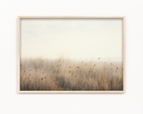 Countryside Canvas Wall Art