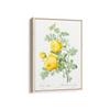 Rosa hemisphaerica, also known as Yellow Rose of Sulfur (Rosa sulfurea) from Les Roses (1817–1824) by Pierre-Joseph Redouté Botanical Wall Art