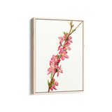 Lion Ambrosia Botanical Wall Art