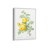 Rosa hemisphaerica, also known as Yellow Rose of Sulfur (Rosa sulfurea) from Les Roses (1817–1824) by Pierre-Joseph Redouté Botanical Wall Art