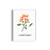 Nature's Palette Botanical Modern Wall Art