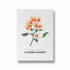Nature's Palette Botanical Modern Wall Art