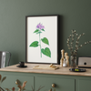 Canis Shadblow Botanical Wall Art