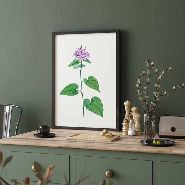 Canis Shadblow Botanical Wall Art