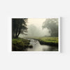 Misty Forest Wall Art